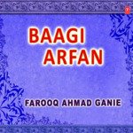 Baagi Arfan Fa Nich