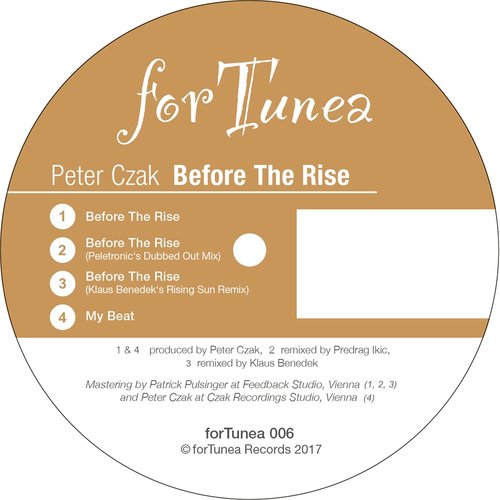 Before the Rise (Peletronic's Dubbed out Mix) cover art