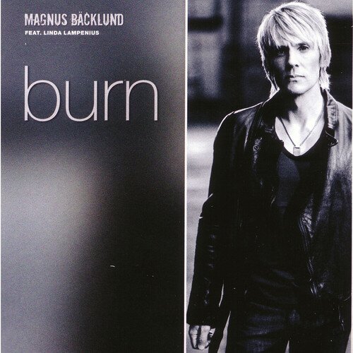 Burn_poster_image