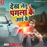 Dekh Letu Pagala Ke Aai Ke