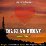 Dil Ki Na Humne Nazar Utari