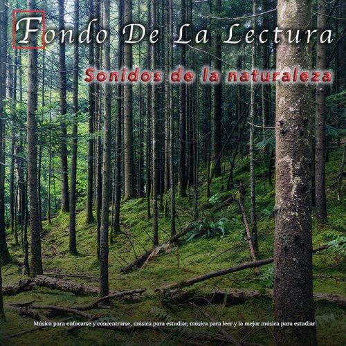 Estudiando música cover art