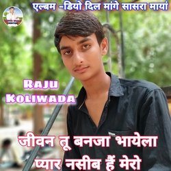 Jeevan Tu Banja Bhayela Pyar Naseeb Hai Mero (Meenawati)