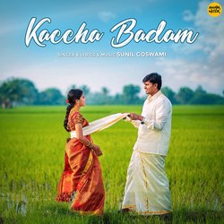 Kaccha Badam-JT8mfDVHGgo