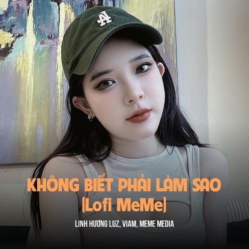 Không Biết Phải Làm Sao (MeMe Lofi)