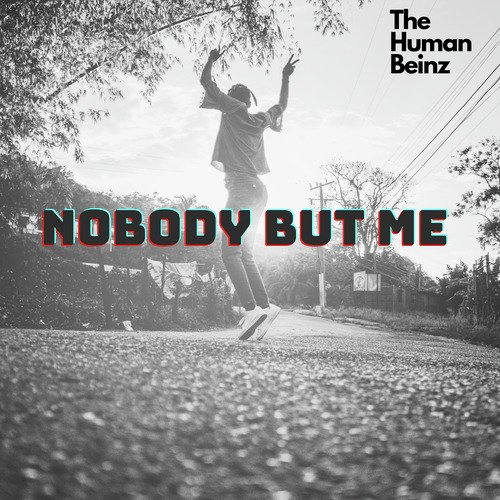 Nobody But Me_poster_image