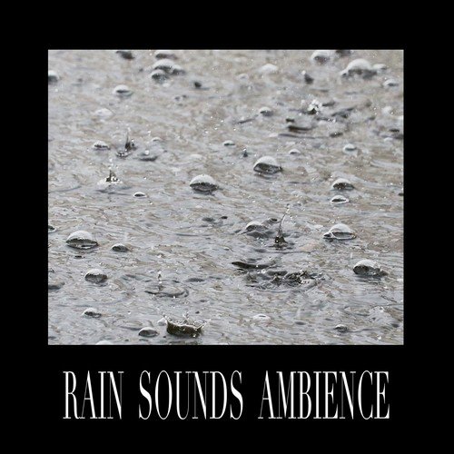 Meditation Rain Sounds cover art