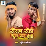 Raushan Rohi Khuta Gad Detau