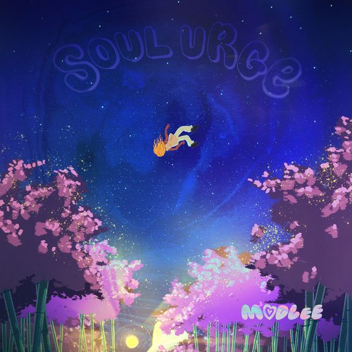 SOUL URGE_poster_image