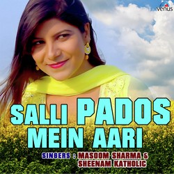 Salli Pados Mein Aari-HQsiBC1menQ