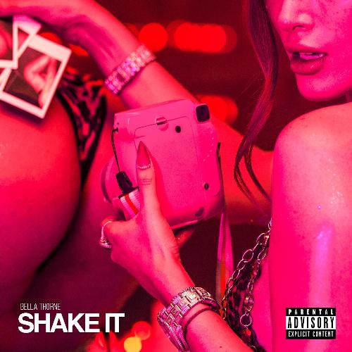 Shake It_poster_image