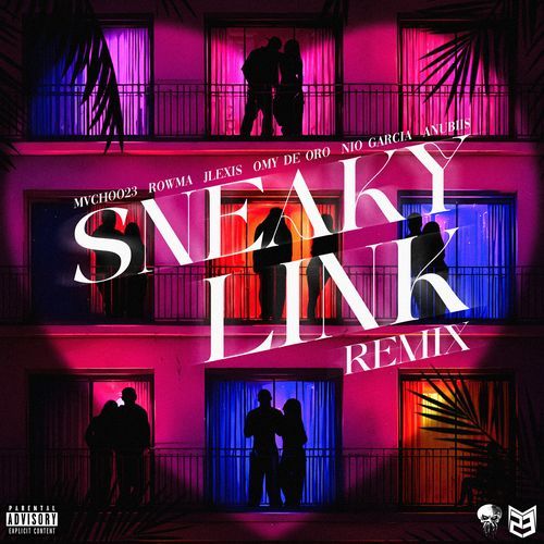 Sneaky Link Remix