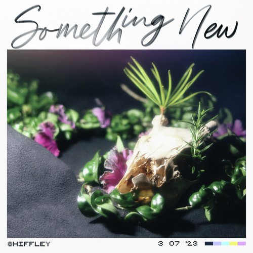 Something New_poster_image