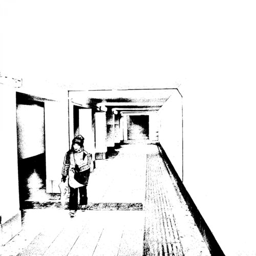 Steve cover art