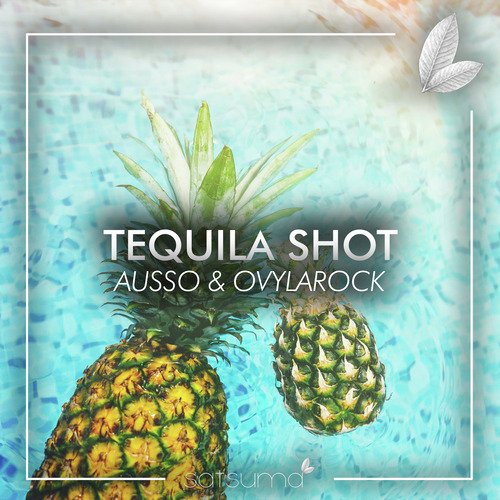 Tequila Shot_poster_image