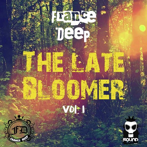 The Late Bloomer, Vol. 1_poster_image