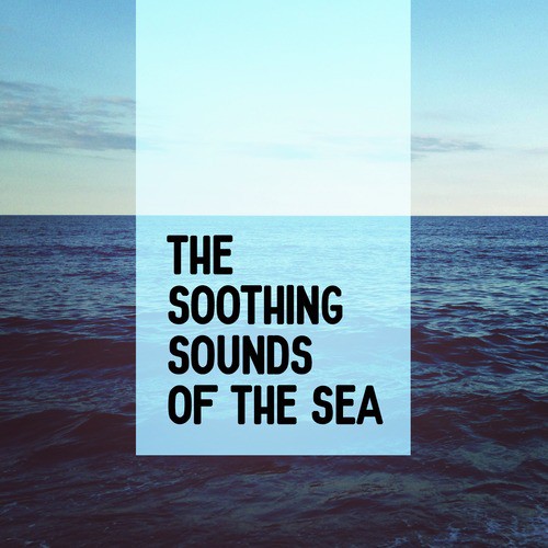 The Soothing Sounds of the Sea