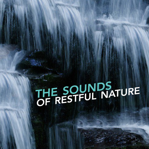 The Sounds of Restful Nature