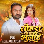 Tohra Ke Kaise Bhulai