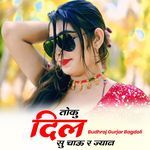 Toku Dil Su Chau R Jyaan