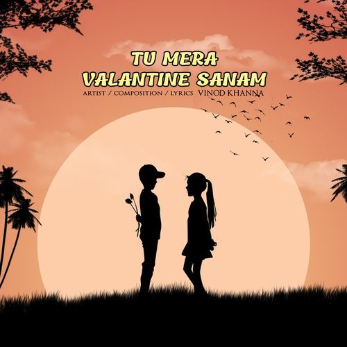 Tu Mera Valantine Sanam