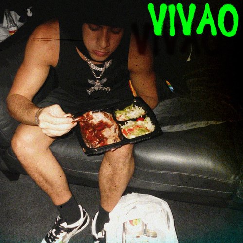 VIVÃO_poster_image