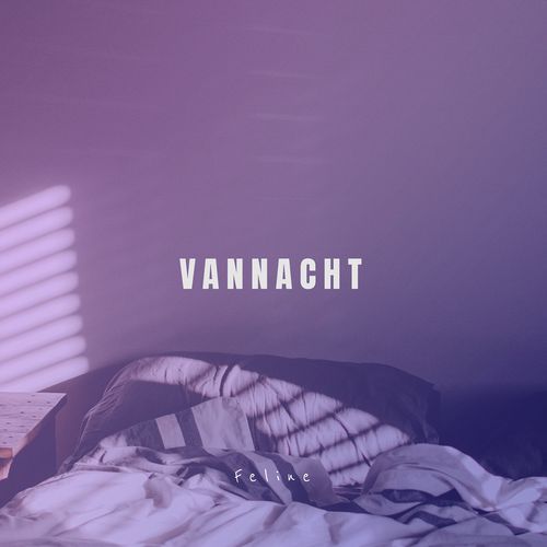 Vannacht