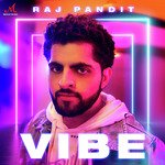 Vibe