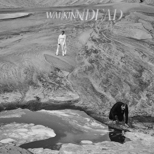 WALKINDEAD cover art