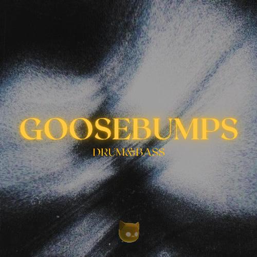 goosebumps (Drum and Bass x Sped Up)