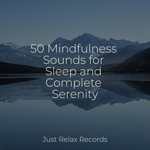 50 Mindfulness Sounds for Sleep and Complete Serenity