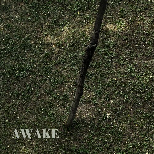 Awake_poster_image