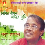 Bidhir Badhan Katbe Tumi