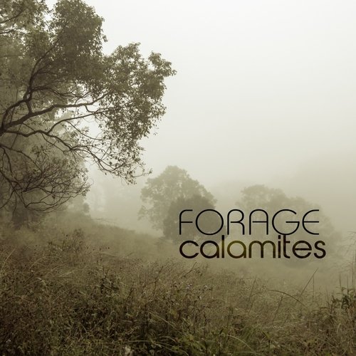 Calamites (Ben Rama Remix) cover art