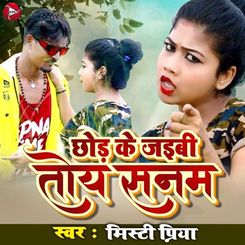 Chod Ke Jaibi Toy Sanam - Single