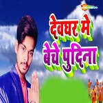 Devghar Me Beche Pudina