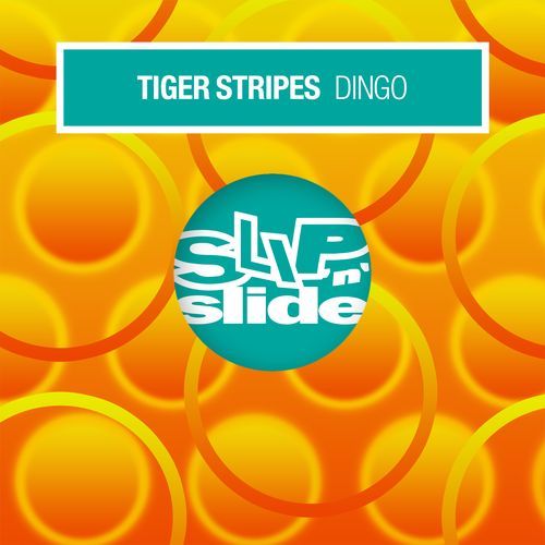 Dingo (Main Mix) cover art