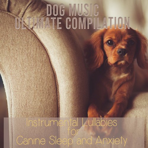 Calming puppy rhythms