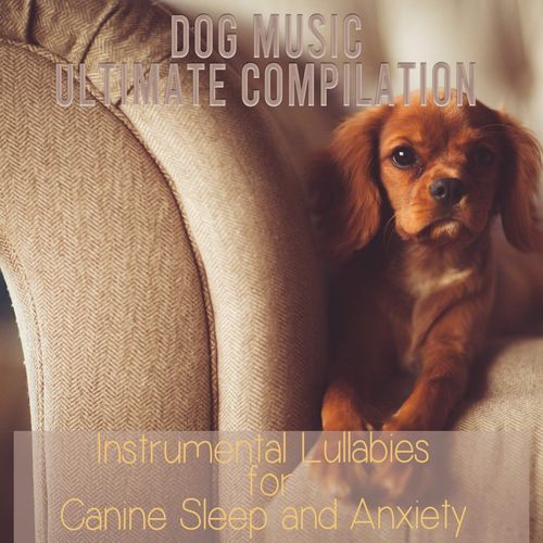 Calming puppy rhythms cover art