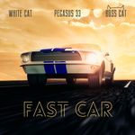 Fast Car (SPED UP)