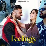 Feelings