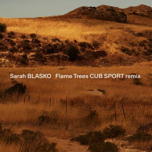 Flame Trees (Cub Sport Remix)_poster_image