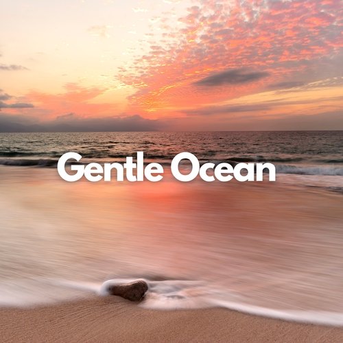 Gentle Ocean_poster_image