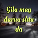 Gila may darna shta da