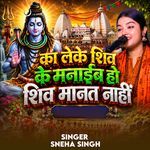 Ka Leke Shiv Ke Manaib Ho