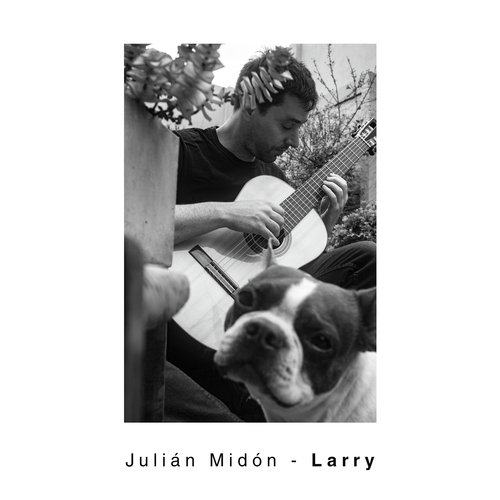 Larry cover art