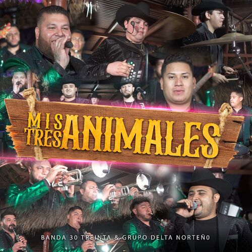 Mis Tres Animales (En Vivo)_poster_image