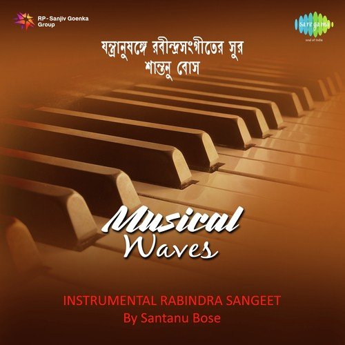 Amar Sakal Raser Dhara - Instrumental