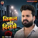 Nikal Jaiha Dil Se artwork