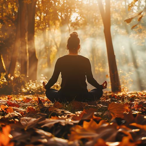 November Meditation Playlist